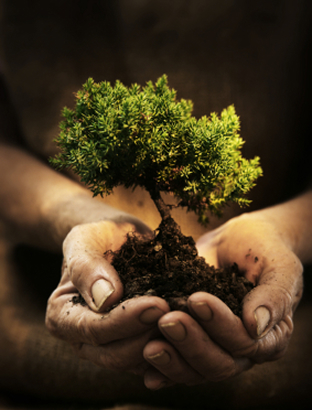 Tantrická masáž a ekologie: souvislosti, které možná nečekáte